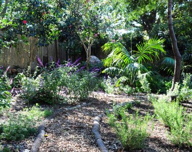 A colourful slight garden