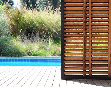 Modern indigenous Constantia landscape