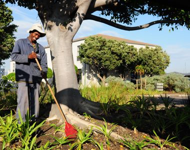 Garden Maintenance